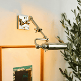Polished tube lit over a framed print on a warm wall with olive foliage