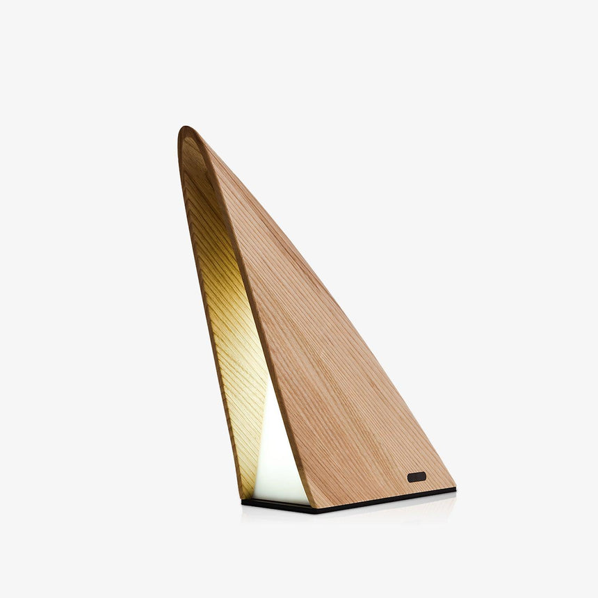 Small bedside lamp carved as a lit wood sail against a plain ground