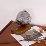 Smoke gray glass ice form unlit on the dark wood plinth