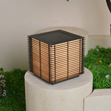 The cube lit warm on a pale stone plinth with grass and a tree behind it
