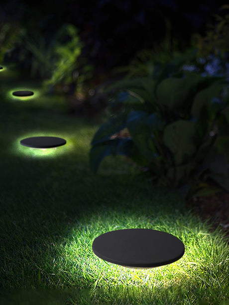 One lit in grass among broad leaves with a dark garden behind it