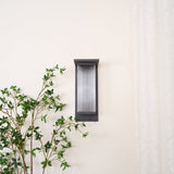 The light seen small on a wall beside a curtain and a potted branch