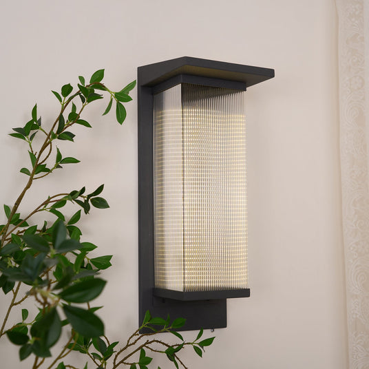 The lantern lit on a cream wall behind the branches of a leafy green plant