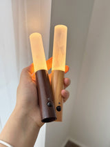 Two lamps held in one hand, the walnut and light wood collars side by side