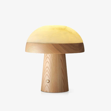 Stone table lamp with a domed shade on a light wood base, plain ground