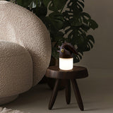 Touch control bedside lamp lit on a stool beside a large plant
