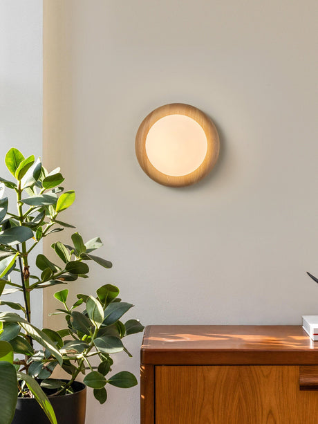 Sconce lit beside a tall plant above a wood chest of drawers in a pale room
