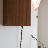 Braided fabric cord running down a pale wall from the wood box above