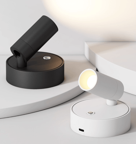 The black and white versions together, one standing and one lying on its base