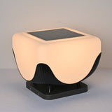 The whole body lit warm with the dark fluted base gathered under it