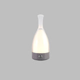 LumaVine Decorative Lamp for Living Room Accent